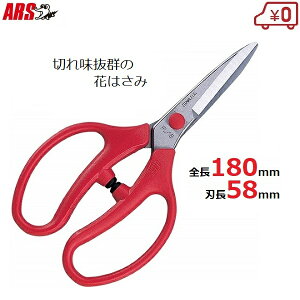 AX ΂  | t[AWg XeX 180mm FL-18-BP  K[fjO 