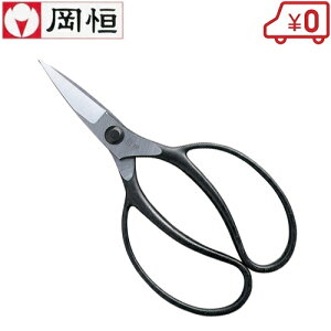 P A NO.221 vp ΂  ~ oT~ }͂ }