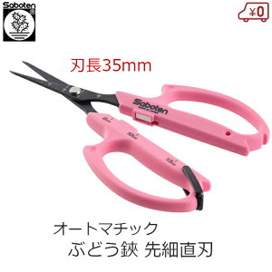 T{e I[g}`bN Ԃǂ n  Ԃǂp ͂ n35mm }Olbg E _ƌ Ԃǂ͔| tbfH XeXn ڐt B-6AT