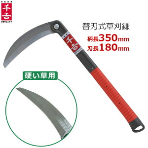 g ֐n  180mm 35cm n S| J} 芙   d pi 