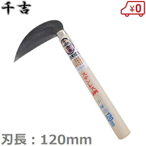 g  XeXn 120mm  芙 芙 J}  _Ɨpi