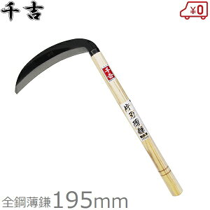 g  ߂ Аn 195mm S| J} 芙  pi |  