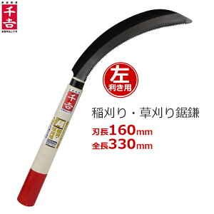 g   160mm 32cm  S| J} 芙 芙  pi | 