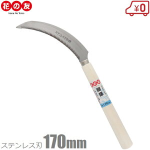 Ԃ̗F  芙 XeXn  `E n J} 芙   pi