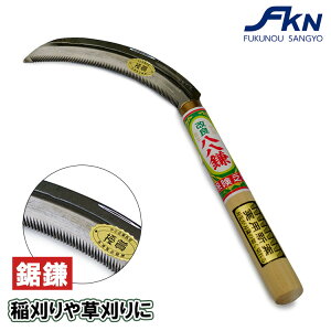  175mm 210mm 芙 Аn RpNg y g₷   n  J}  pi _ _ |  
