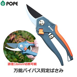 POPE ΂ \oCpX΂ }؂ ϋv SbNt  d|u[h | |΂ |p nT~