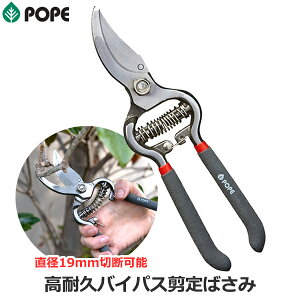 POPE ΂ ϋvoCpX΂ }؂ a19mm܂ SbNt  iYf| | |΂ |p nT~