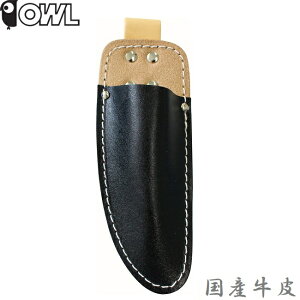 OWL ΂ P[X 琻 ubN  ΂ oT~ ~ K[fjO