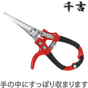 g ΂ ی^nh| SGP-38  oT~ }΂ A K[fjO G