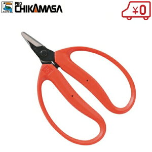 ߐ ݂ M-100 n ͂ oT~ _Ǝ n Rei