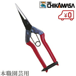 ߐ  T-550 ߐ n  ̉ ʎ E Eʍ ʎ  ͂ oT~ _Ǝ n Rei