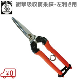 T{e  No.AG-10L p Ռz [  n ͂ oT~ _Ǝ n Rei]