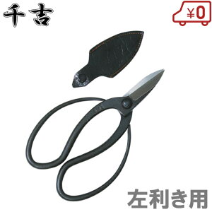 g p v 180mm vdl  ~ ΂  oT~  A