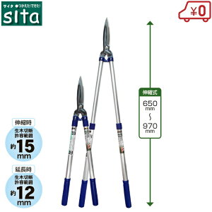 sita 荞݂΂ Lk y  }؂oT~ 荞݂΂ ΂  ΂ oT~ A~pCv