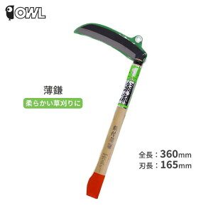  芙   |t 165mm { _炩 n  _ |pi OWL #141