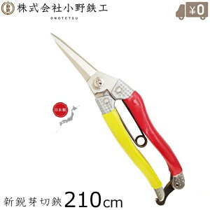 Imec | ؂ A~  210mm { SH ΂ E E ~̓nT~ 