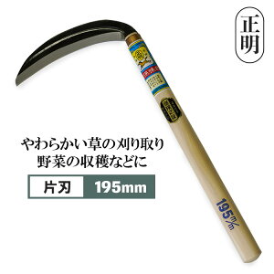 芙  195mm 36cm Аn y g₷   G  n  J}  pi  _ _ |  