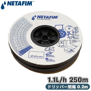 l^tB 󐅃`[u 󐅃z[X Ж U z[X  20cm 250m _H _H`[u CXG _ 󐅗pi hbv`[u Xg[CX60 16382-000054