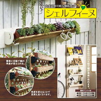 楽天市場】多肉植物 棚（カラーホワイト）（花・ガーデン・DIY）の通販
