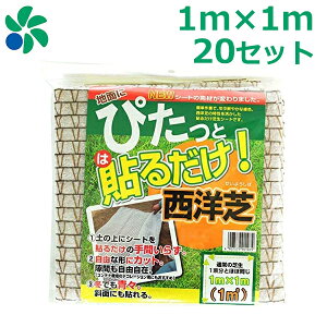庭 芝生 種の人気商品 通販 価格比較 価格 Com 庭 芝生 種の人気商品 通販 価格比較 価格 Com