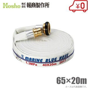 񏤐쏊 Dp hz[X }u[z[X 65mm×20m 1.3MPa JbvOt [65A hKiFi D Uz[X ΐ ]