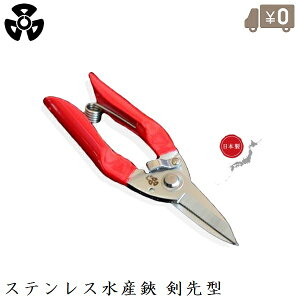 WK XeX Y ^ YpnT~ YoT~ [v؂ { {[gpi Dpi D AJ[[v Ɨpn