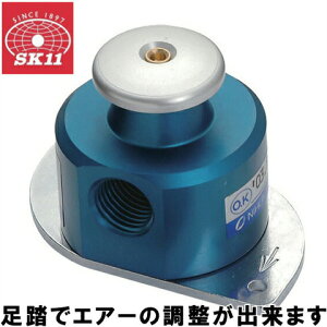 SK11  GA[ou AFB-1 GA[z[X GA[_X^[ GAz[X ʐ GA[RvbT[ z p