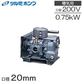 ツルミポンプ ルーツブロワ RSS-20 0.75kw 三相200V 20mm 鶴見ポンプ エアーポンプ ブロアー 曝気ブロワ エアポンプ