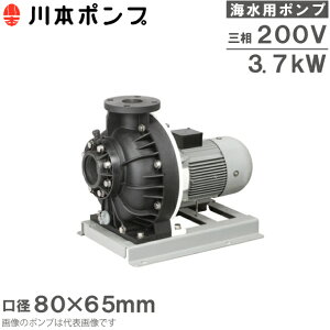 ��{�|���v �C���p�|���v ���z���|���v GSP4-806-CE3.7 3.7kW 200V 60HZ 80mm×65mm �z�|���v �����|���v �z�p �����p