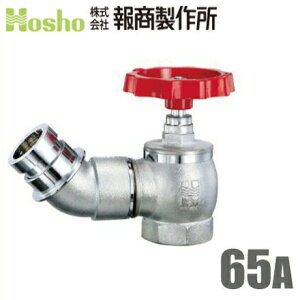 񏤐쏊 쎮 U BR 1.0MPa N[ 65mm×45x Uou 65A ΐou hz[X Uz[X ֌ O