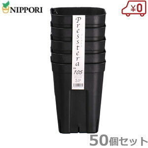 vXe[^ 105^ ubN 50Zbg Xbg c|bg ܂|bg Ap c ܂ |pi A T{e _Ǝ