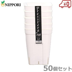 vXe[^ 105^ zCg 50Zbg Xbg c|bg ܂|bg Ap c ܂ |pi A T{e _Ǝ