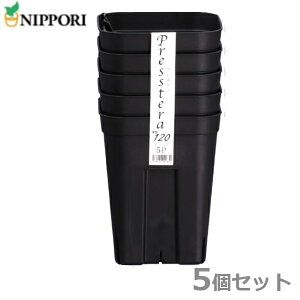 vXe 120^ ubN 5Zbg Xbg c|bg ܂|bg Ap c ܂ |pi A T{e _Ǝ