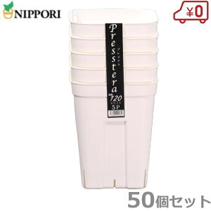 vXe 120^ zCg 50Zbg Xbg c|bg ܂|bg Ap c ܂ |pi A T{e _Ǝ