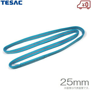 �e�U�b�N �X�����O�x���g 3m 300cm �u���[�X�����O IIIN/�G���h���X 25mm×3m �݂��