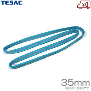 �e�U�b�N �X�����O�x���g 2.25m 225cm �u���[�X�����O IIIN/�G���h���X 35mm×2.25m �݂��