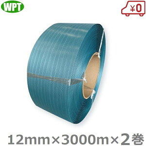 WP PPoh @p 12mm×300m×0.59mm 2 eDH12 s[s[oh ĐPPoh TCNPPoh O[oh i 