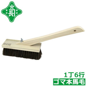 Β uV S}{n 16s t  yԃuV luV OǃuV  y ^C ڒn |