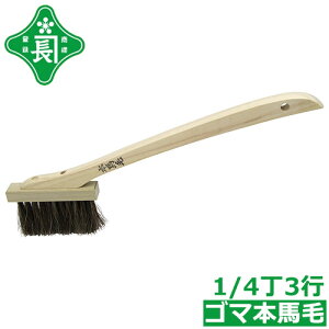 Β uV S}{n 1/43s t  yԃuV luV OǃuV  y ^C ڒn |