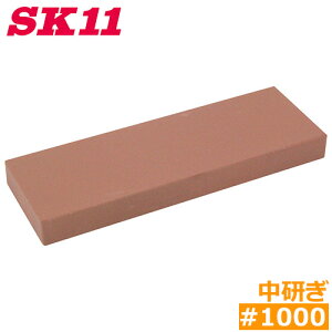 SK11 { u  {Ep #1000 np nT~  ΂   L t