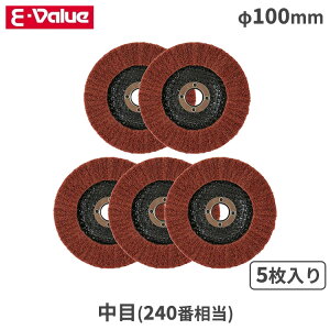 E-Value fBXNOC_[ ֐n h|  240 100mm 5 EV5[TI10 u ot h͂ TrƂ ꗎƂ ؍H