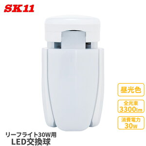 SK11 LED ������ ���[�t���C�g 30W�p LDA-30-DG-SK ��Ɠ� �֋� �����F ���� �Ɩ� ��Ɠ�