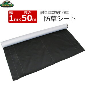 ZteB3 xOw hV[g 1m×50m όN10N h叫  V[g G΍ V[g _炩