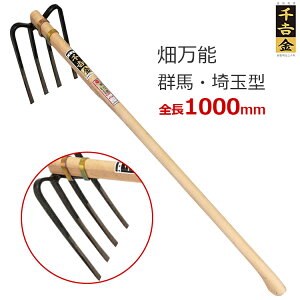 g  L  \ QnEʌ^ S100cm 4{ nL