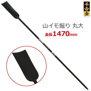 g R@ RCx ۑ 147cm L R ؂ y @N N 