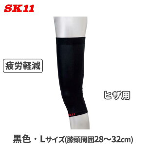 SK11 T|[^[ GT|[^[ RvbVT|[^[ L  ubN KS-HIZA-L-BK   Ђ ėp }  
