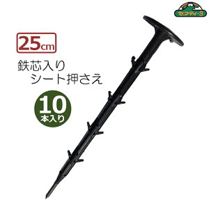 ZteB[3 V[g 25cm 10{  hV[g }` Y ɂ