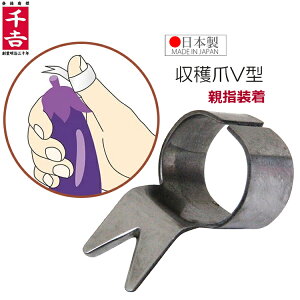 g n w Jb^[ n V^ ewp { iCt XeX nnT~ n  イ iX