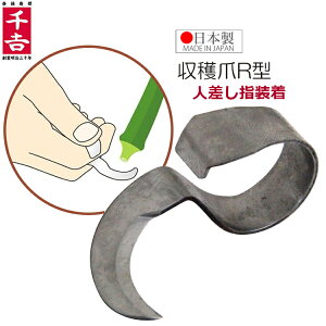 g n w Jb^[ n R^ lwp { iCt XeX nnT~ n  IN