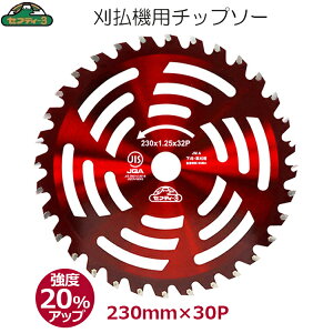 ōd`bv @ `bv\[ 230mm×32P p ֐n ւn @ ZteB3 gՁE JISKiKi ϋv